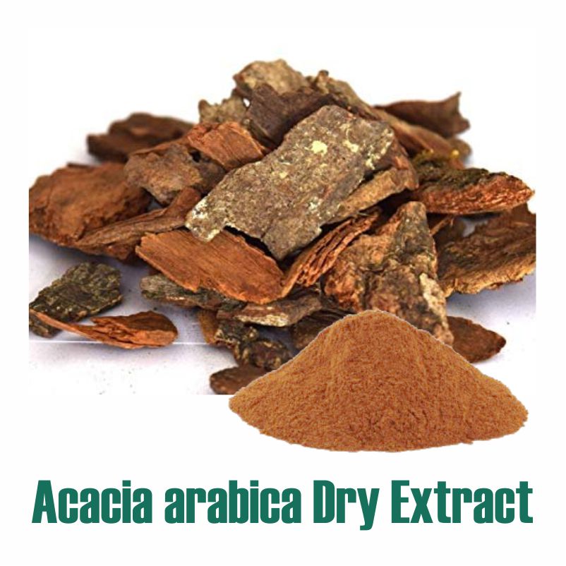 Acacia Arabica extract