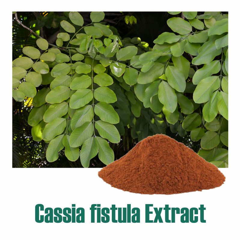 Cassia fistula Extract