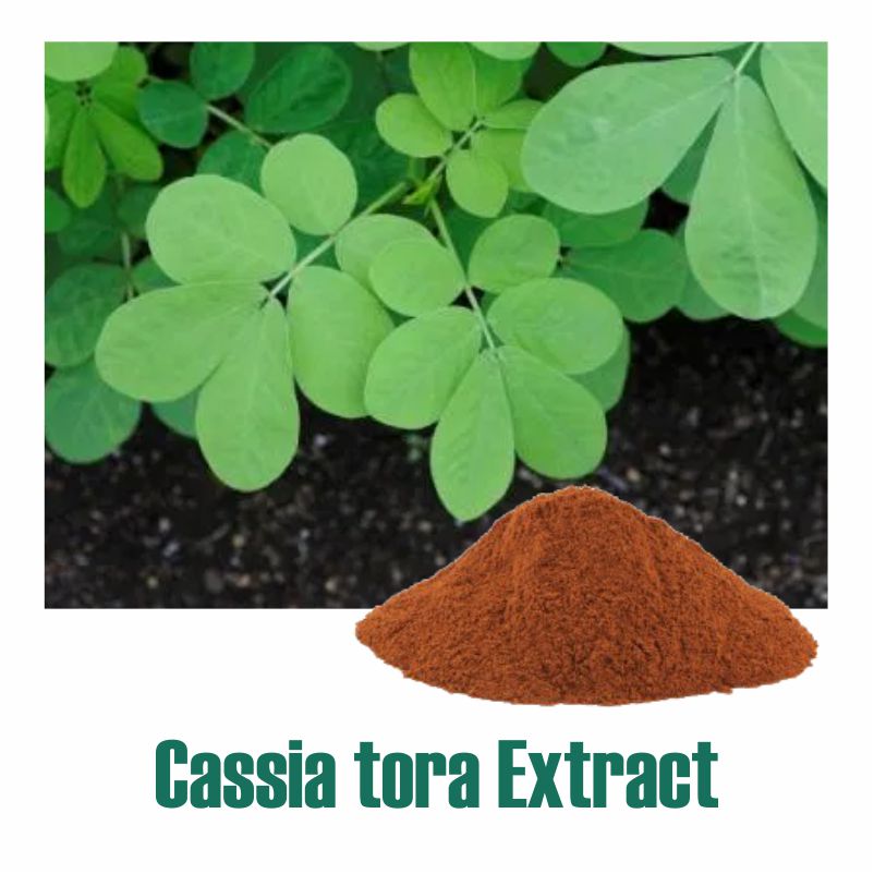 Cassia tora Extract