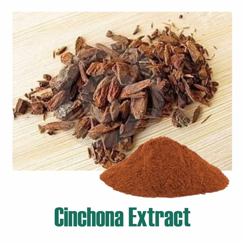 Cinchona Extract