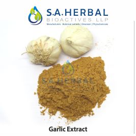 Garlic Extract