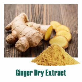Ginger Dry Extract