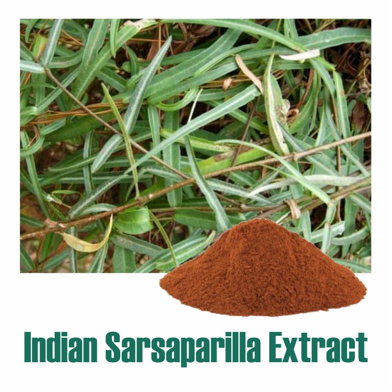 Indian Sarsaparilla Extract