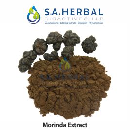 Morinda Dry Extract