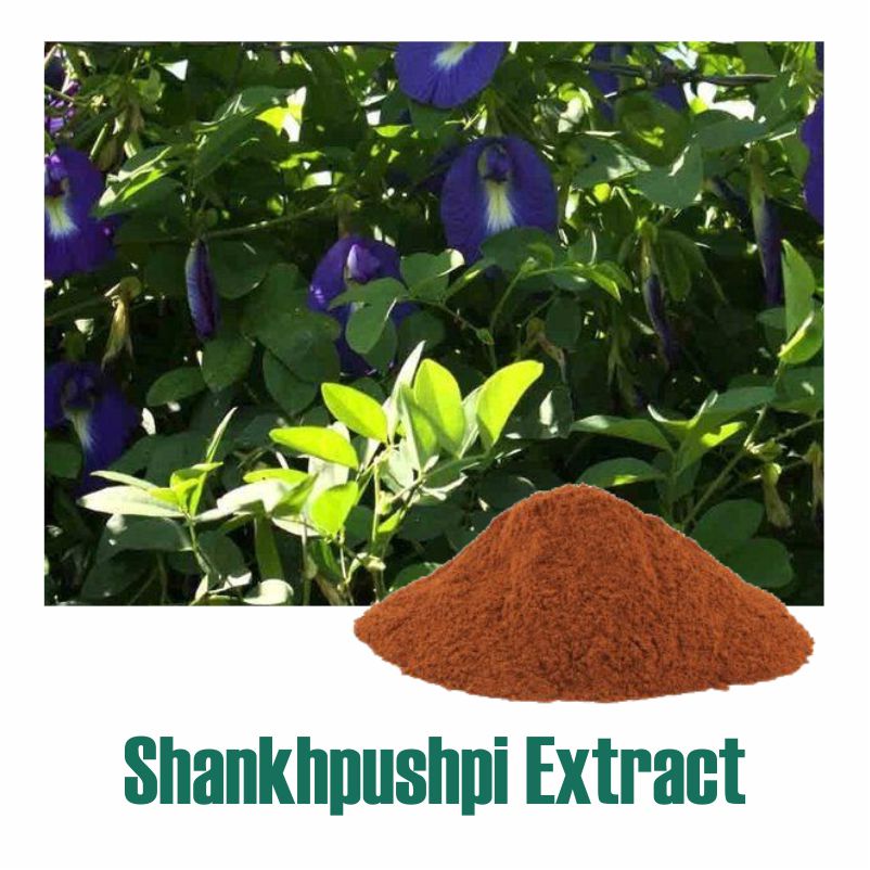 Shankhpushpi Extract