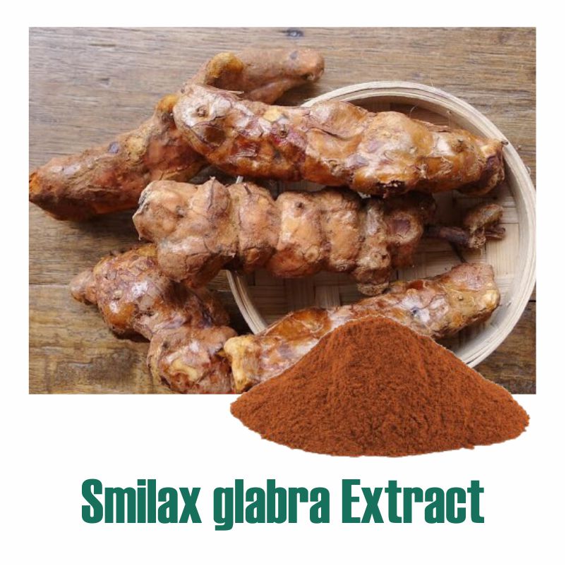 Smilax glabra Extract