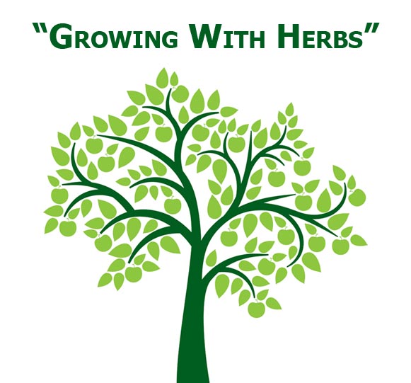 Growing With Herbs Tree