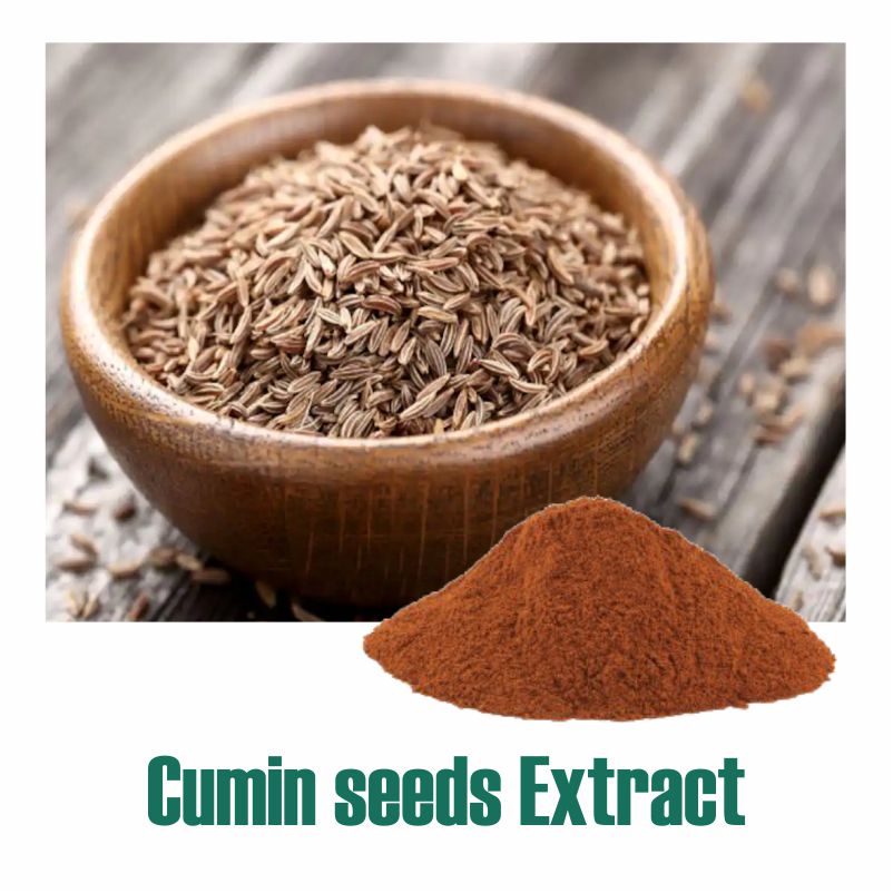 Cumin seeds Extract