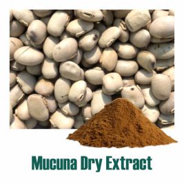 Mucuna Dry Extract